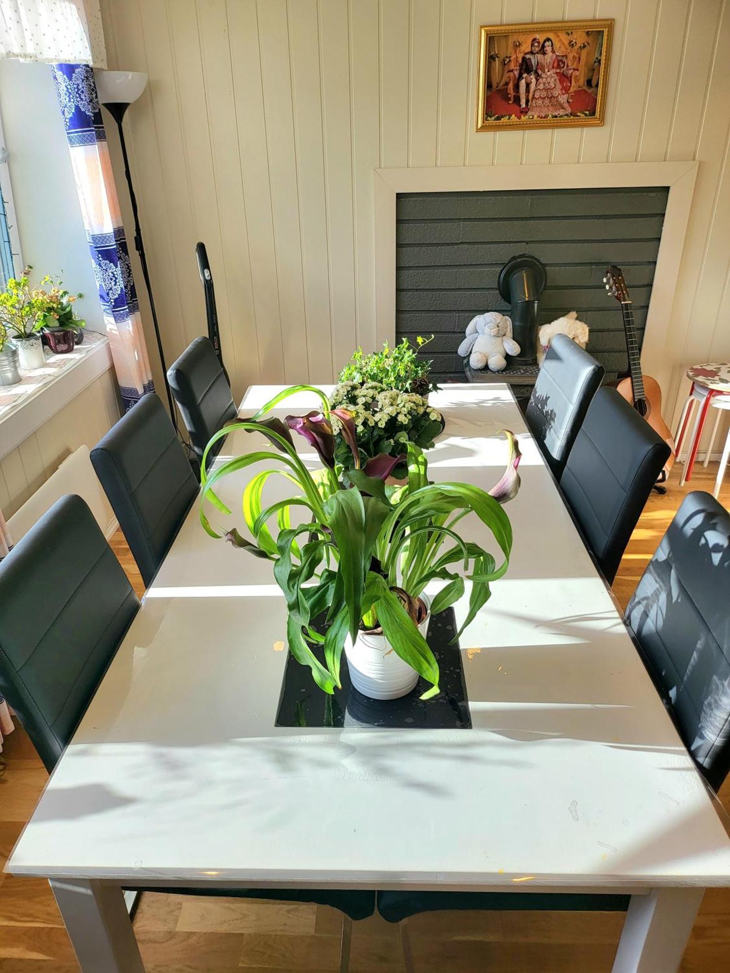 Spacious & Modern In With Free Parking Apartment Trondheim